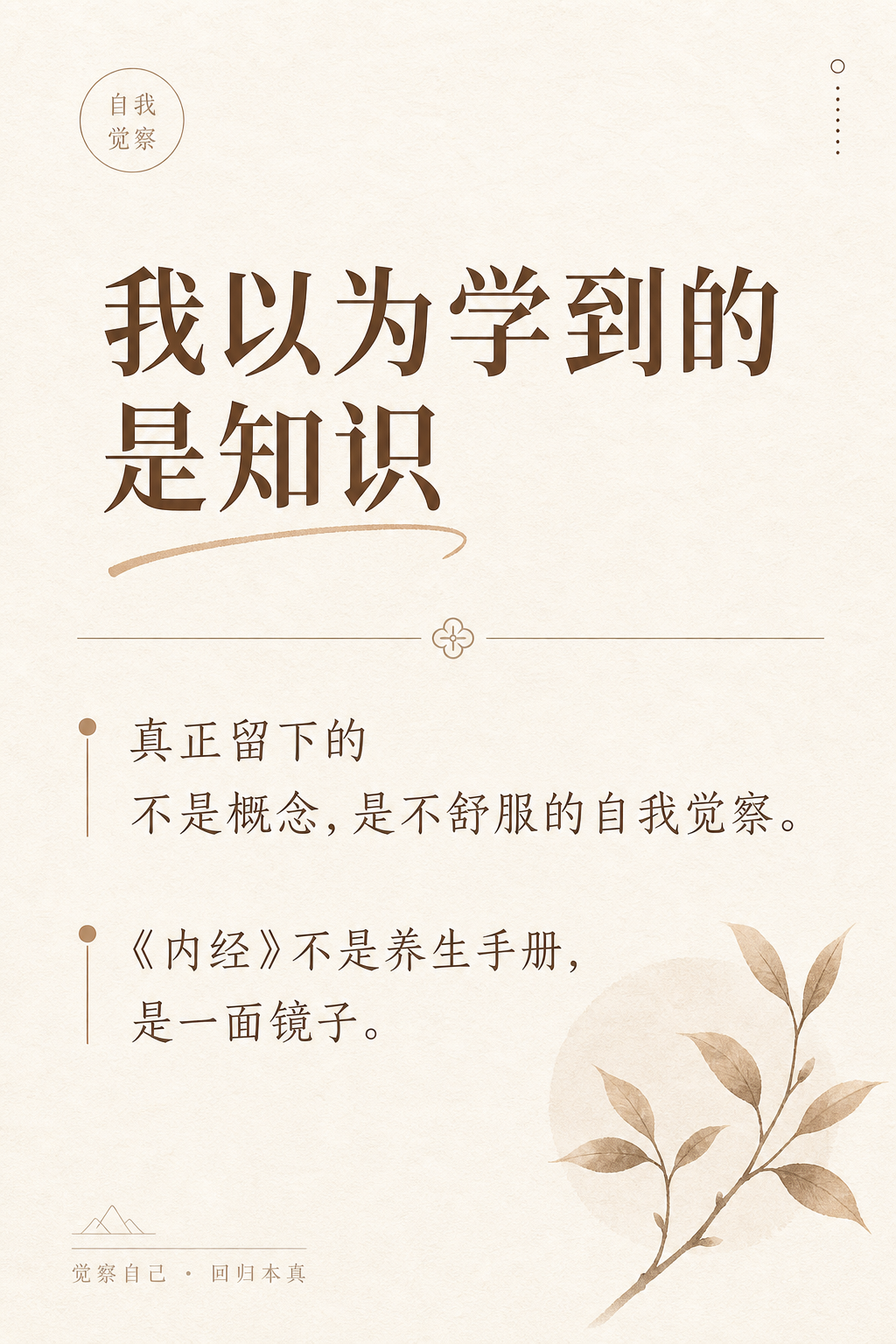 ## 一、我以为学到的是知识,其实学到的是一面镜子