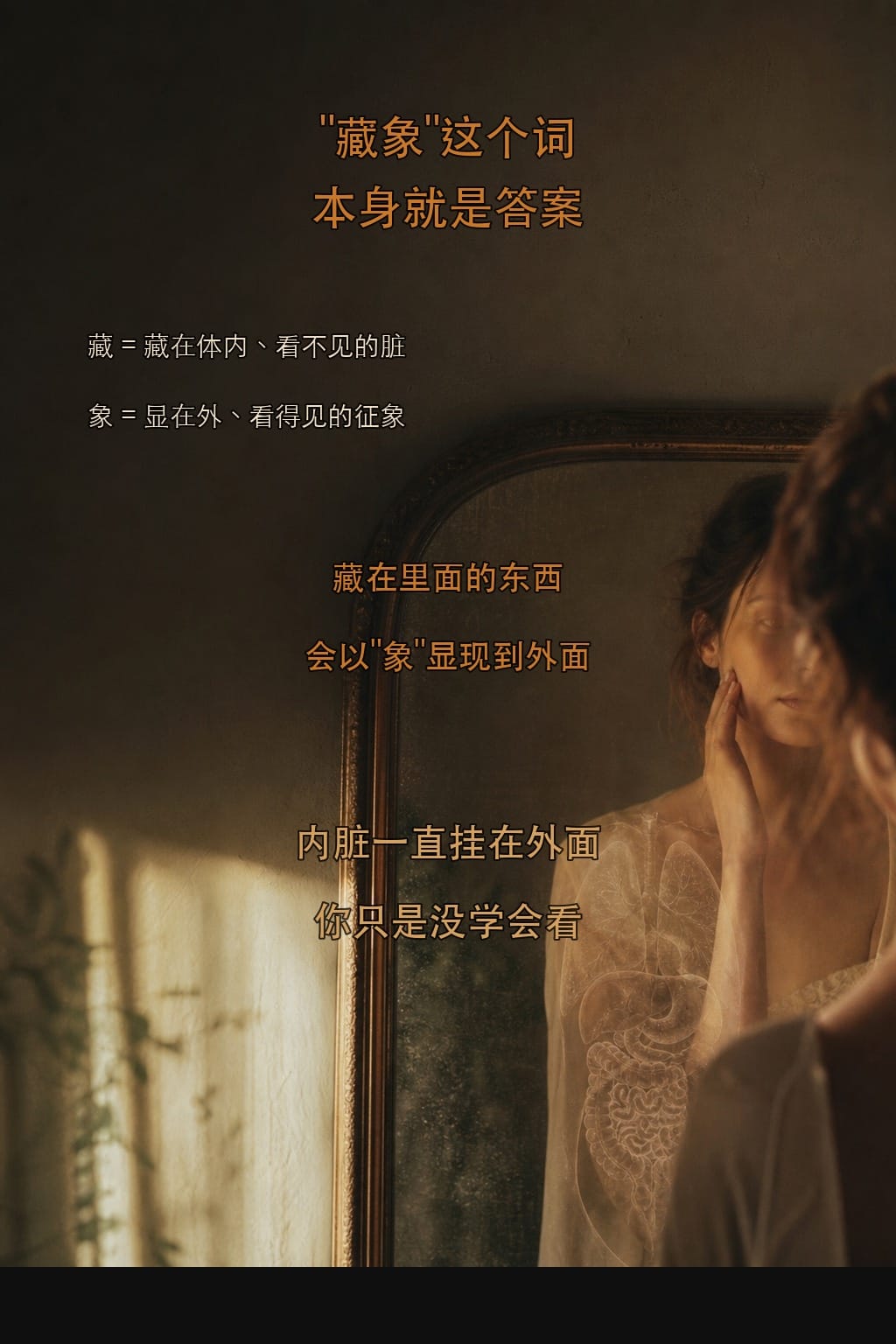 藏象这个词本身就是答案