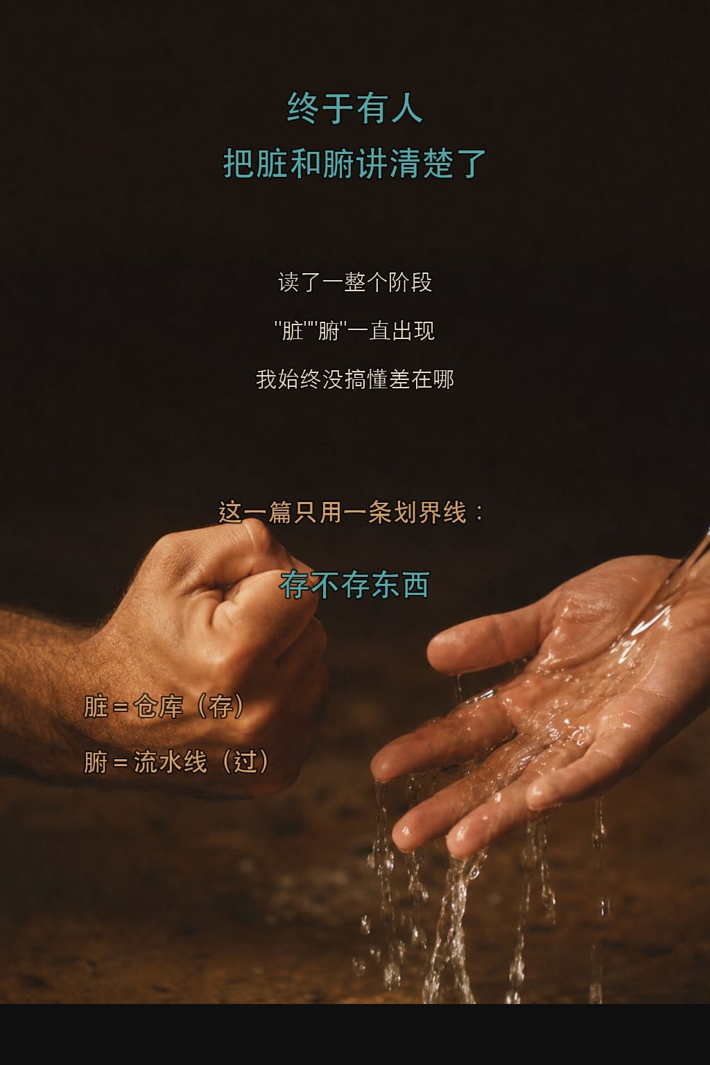 脏是仓库,腑是流水线