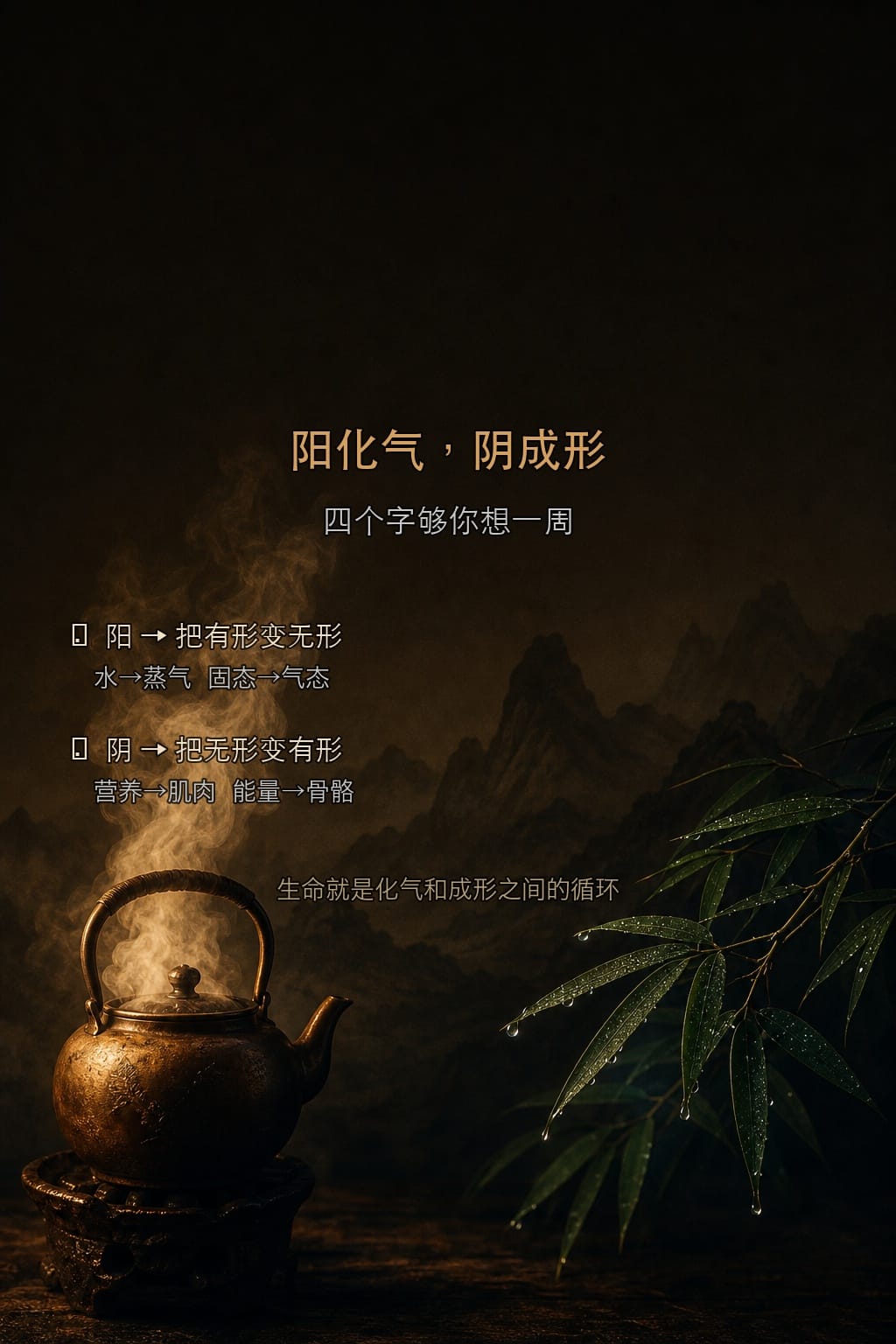 阳化气,阴成形