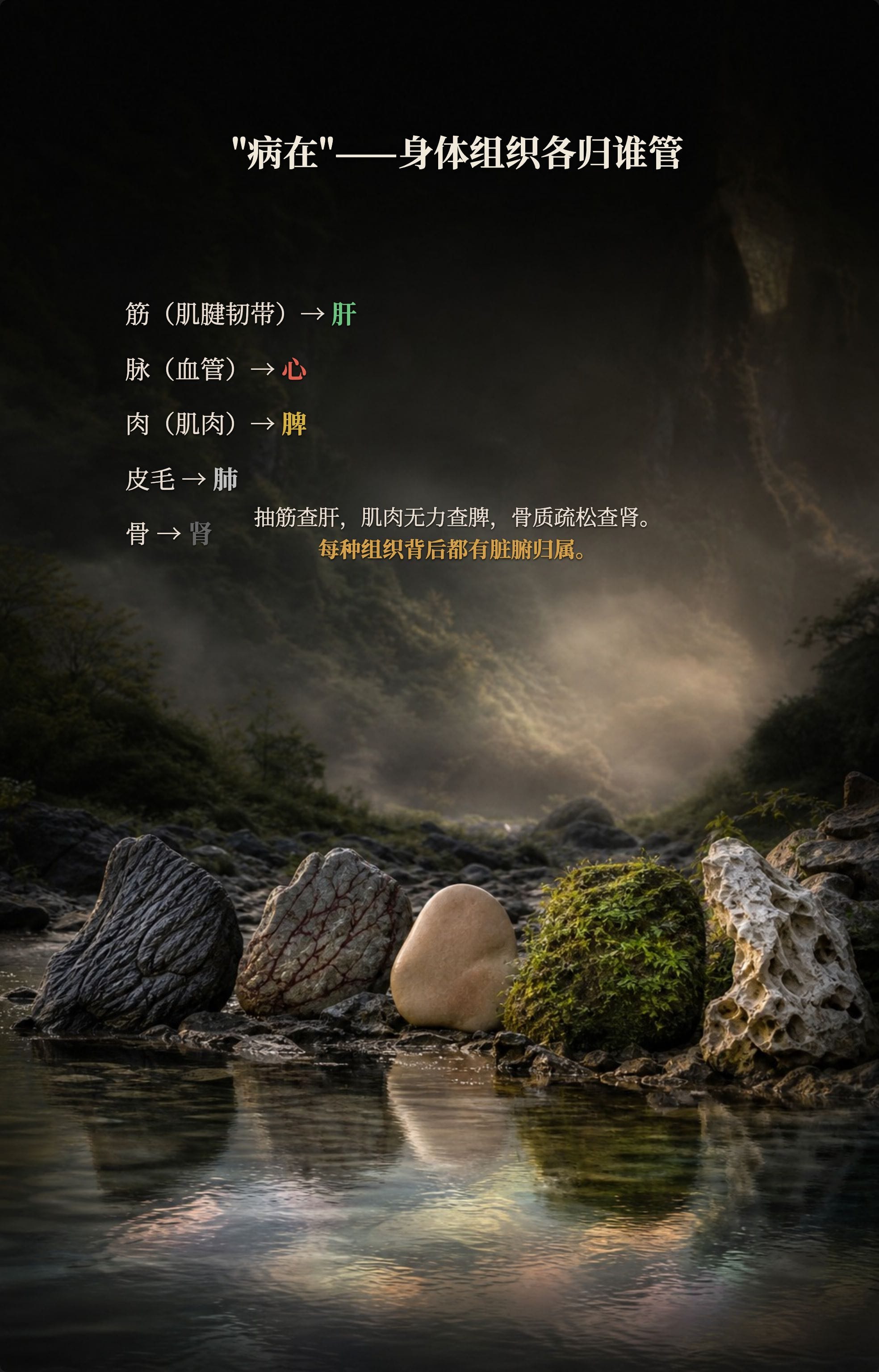 "病在"——身体组织各归谁管