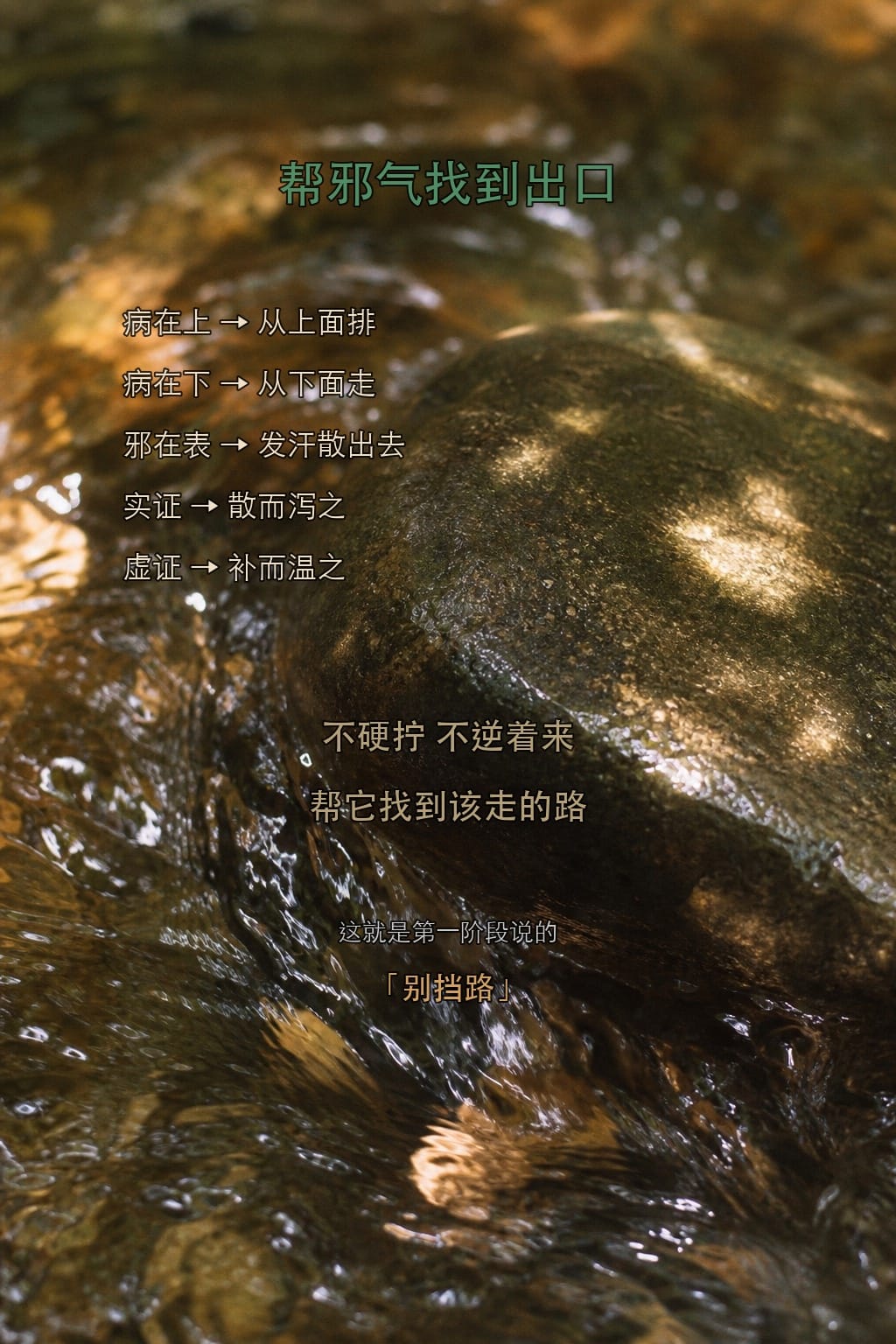 不硬拧,帮它找到该走的路