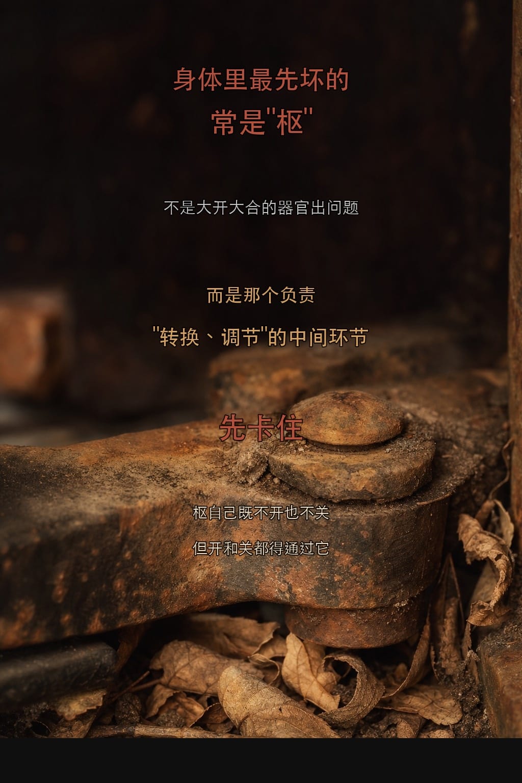 卡片 05：一段暂时的理解