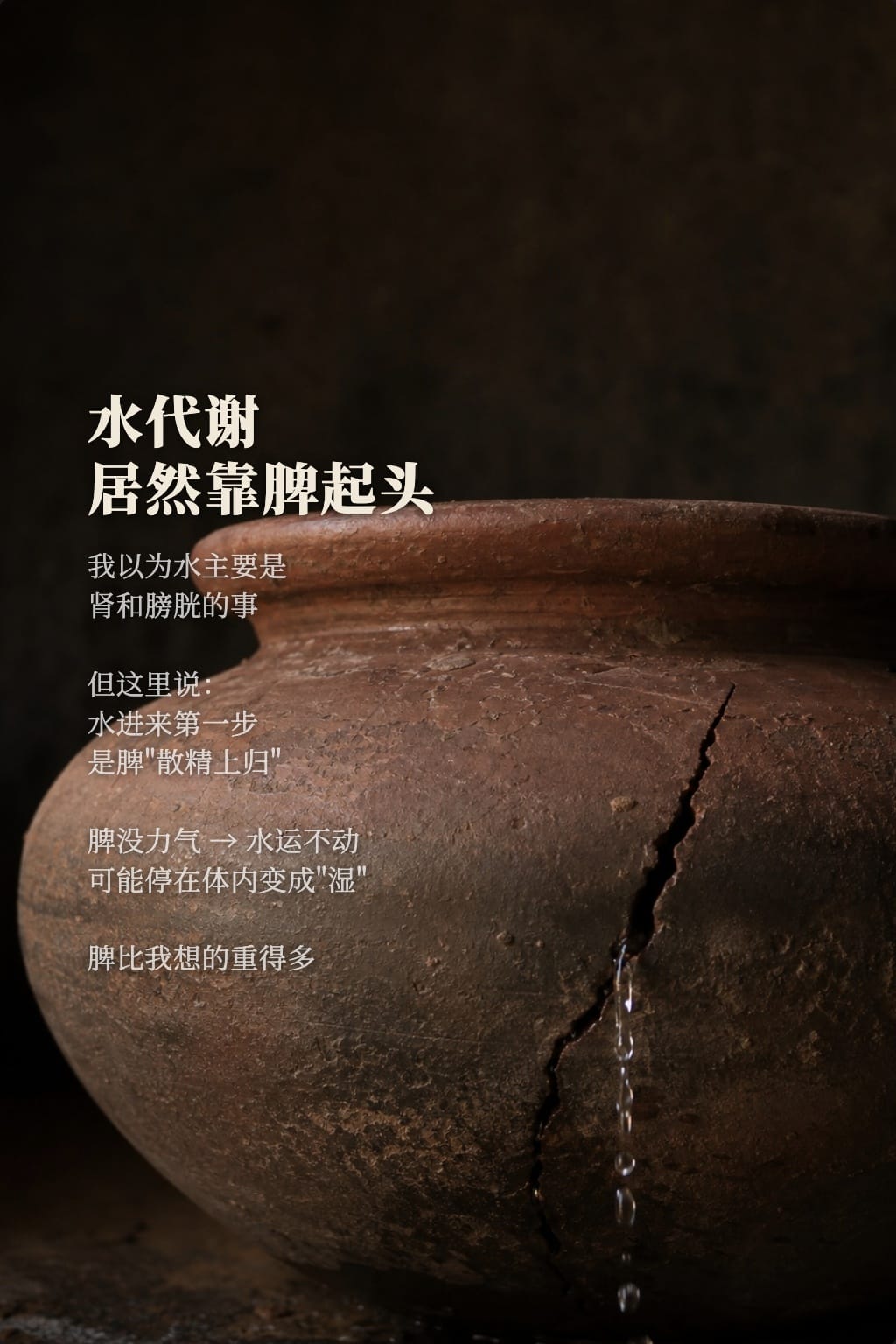 全篇最重的一句:生病起于过用