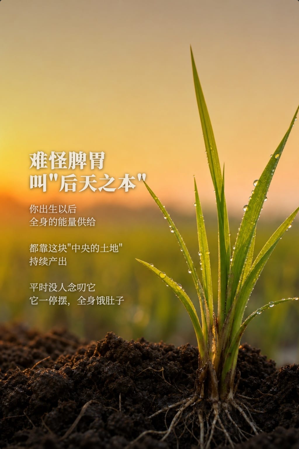 这一段暂时的理解