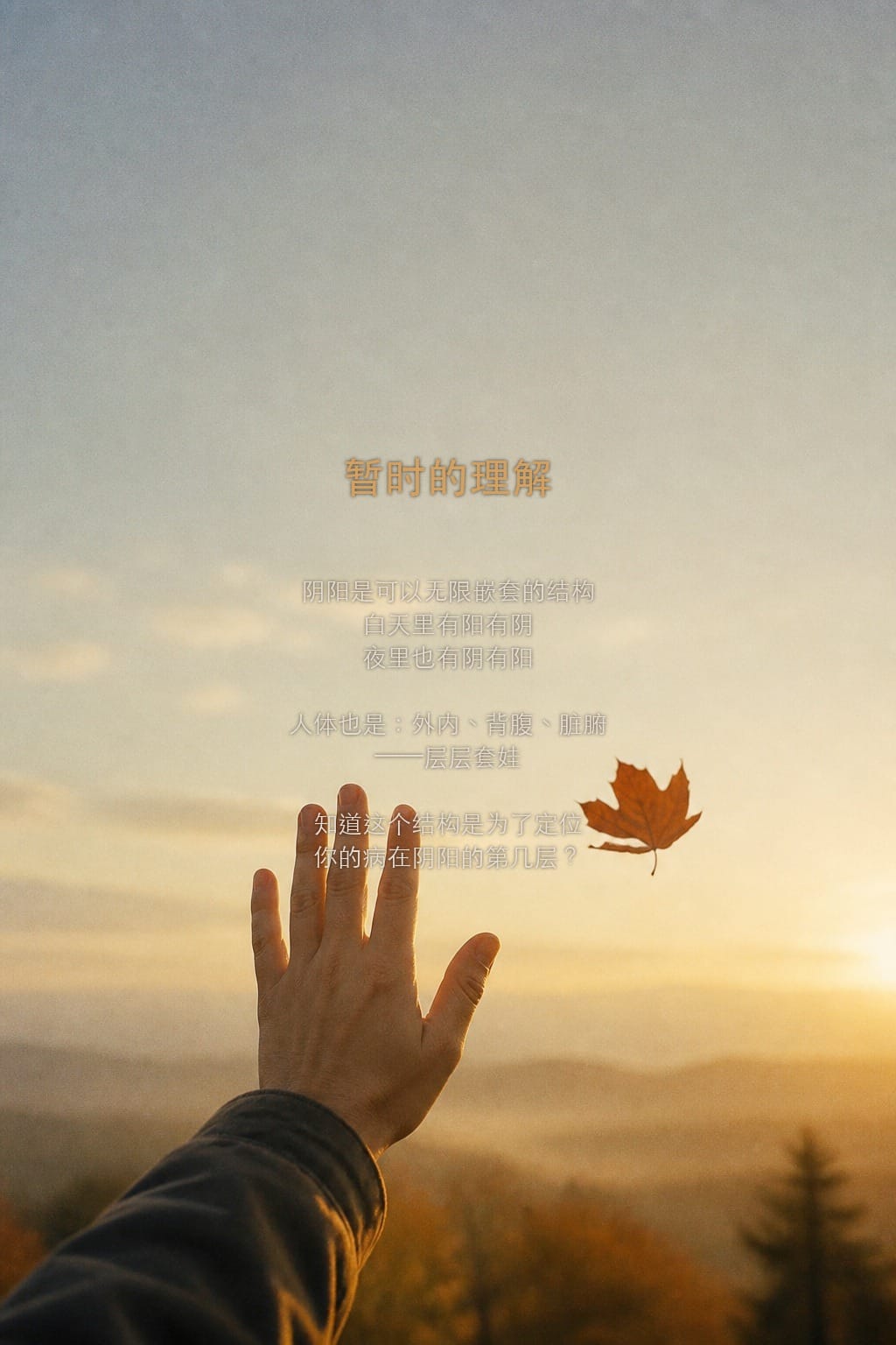 暂时的理解