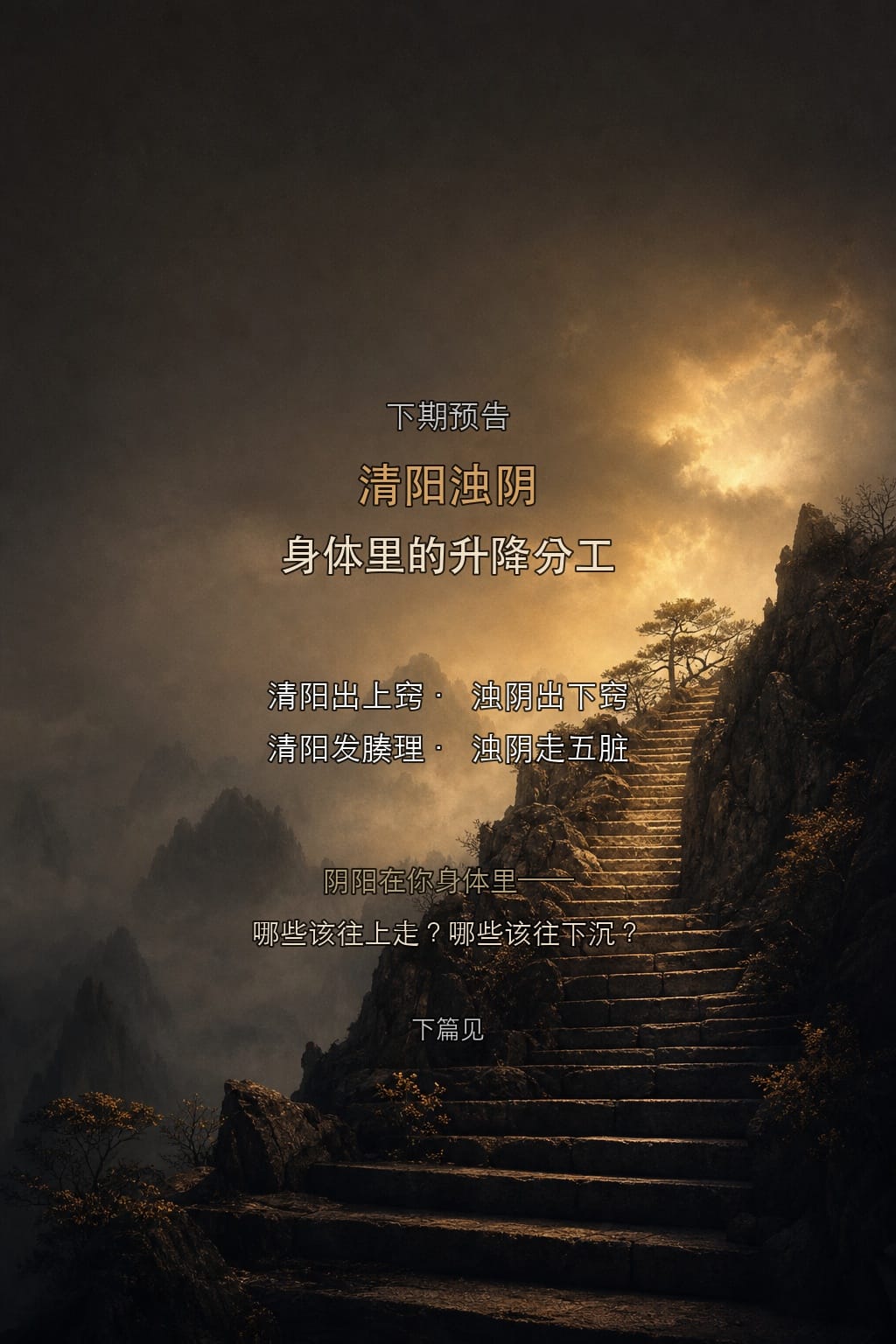 下期预告:清阳浊阴