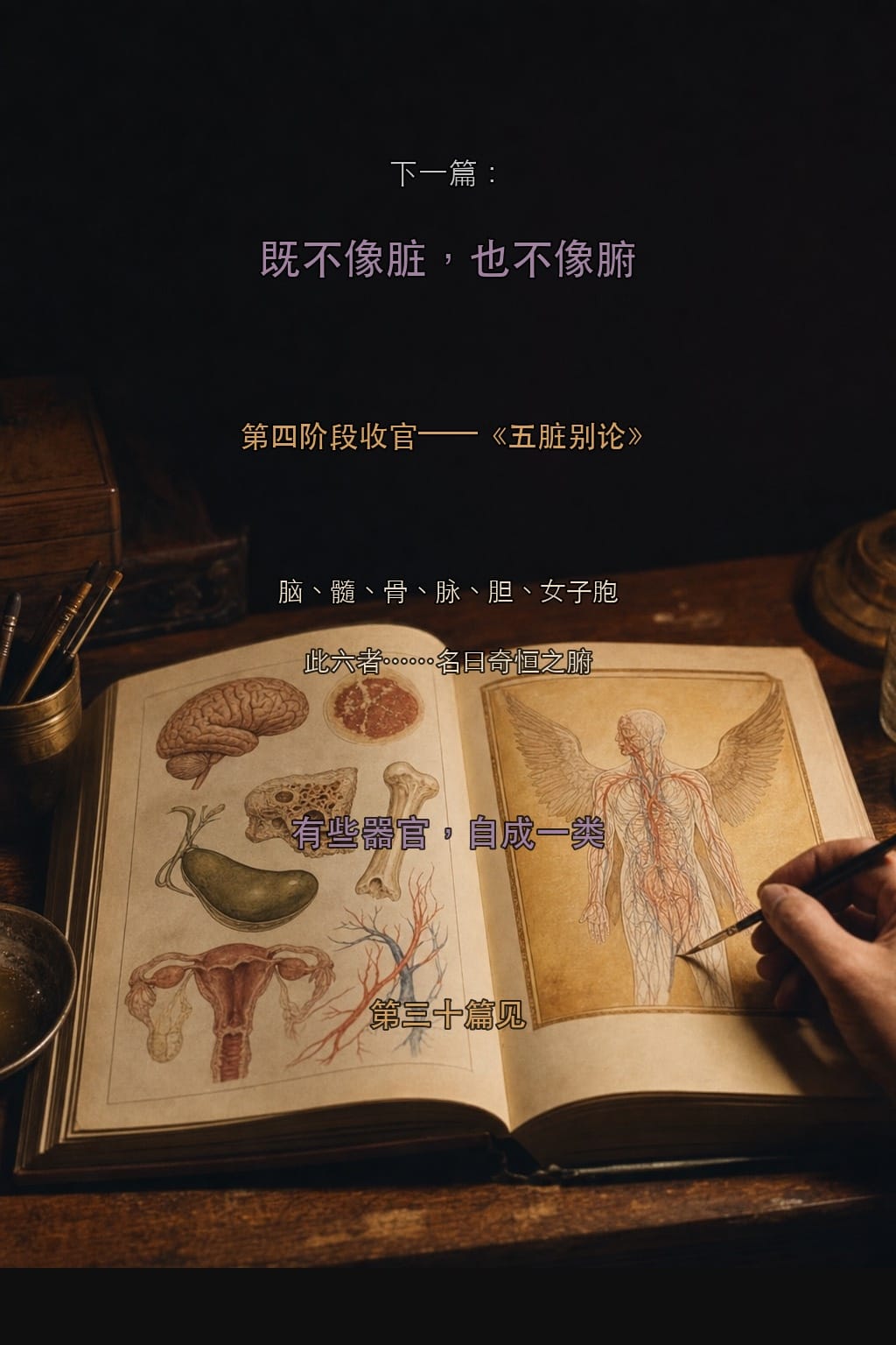 下一篇预告：五脏别论——奇恒之腑
