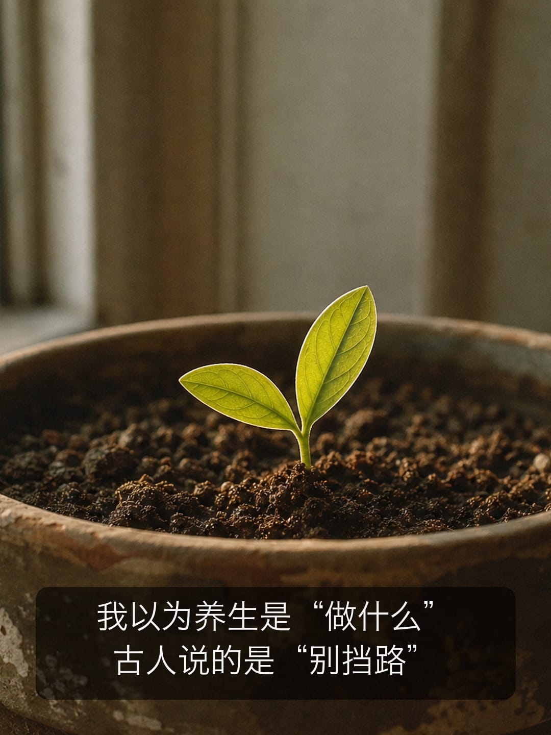 第五篇：我以为养生是"做什么"，古人说的是"别挡路"