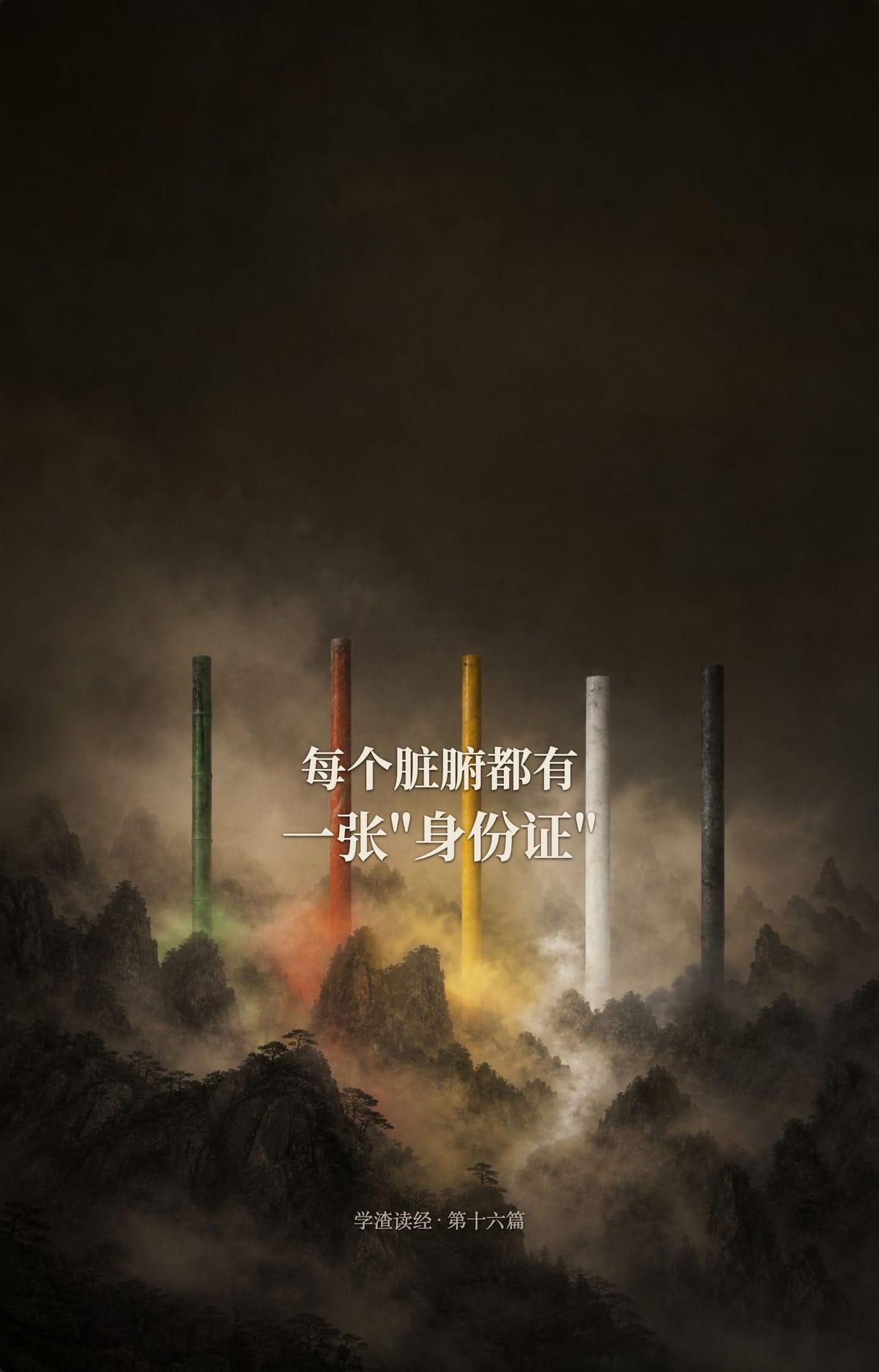 第十六篇：每个脏腑都有一张"身份证"