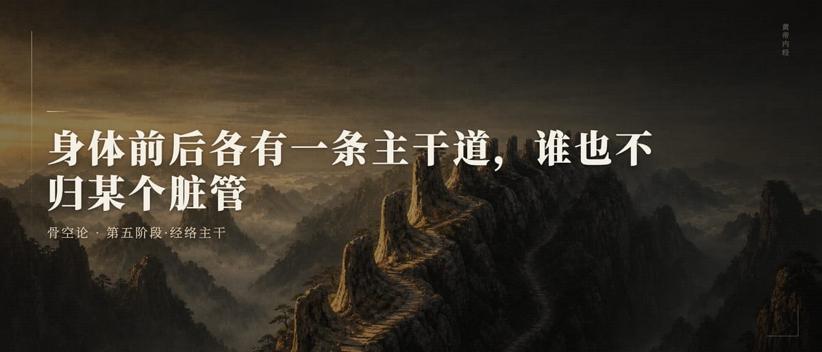 第三十四篇：身体前后各有一条主干道，谁也不归某个脏管