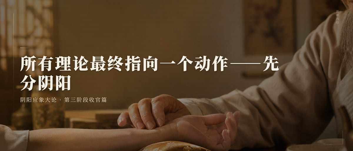 第二十四篇：读了七篇理论，最后三个字把一切拉回了地面——「先别阴阳」